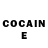 Cocaine Fish Scale Dmitriy Xmel