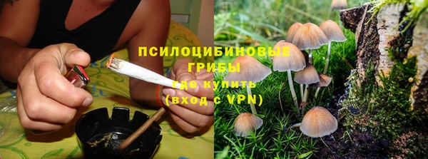 кокаин перу Каменногорск