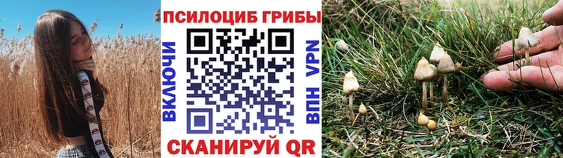 Купить  Волоколамск  Галлюциногенные грибы Cubensis 