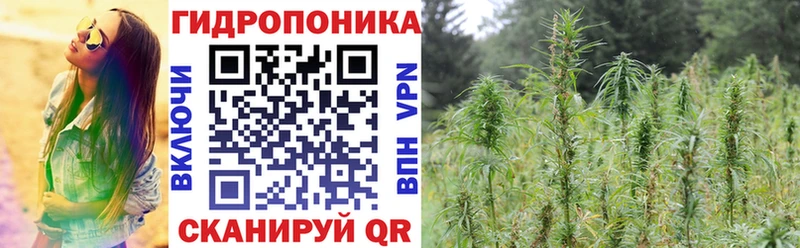 Купить  Волоколамск  Марихуана индика 